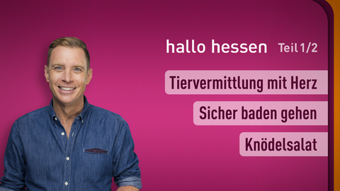 Moderator Jens Kölker sowie die Themen bei "hallo hessen" am 03.07.2023: Tiervermittlung mit Herz, Sicher baden gehen, Knödelsalat