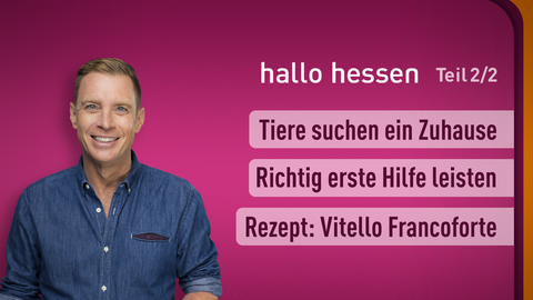 Moderator Jens Kölker sowie die Themen bei "hallo hessen" am 03.07.2023: Tiere suchen ein Zuhause, Richtig erste Hilfe leisten, Rezept: Vitello Francoforte