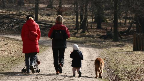 Eine Familie im Wald