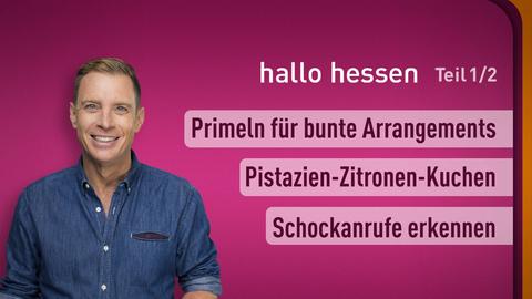 hallo hessen vom 06.03.2024, moderiert von Jens Kölker mit folgenden Themen: Primeln für bunte Arrangements; Zitronen-Pistazien-Kuchen; Schockanrufe erkennen