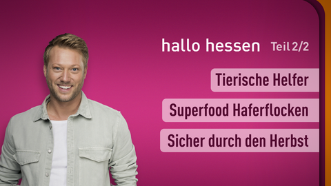 Moderator Jens Pflüger sowie die Themen bei "hallo hessen" am 14.11.2023: Tierische Helfer, Superfood Haferflocken, Sicher durch den Herbst