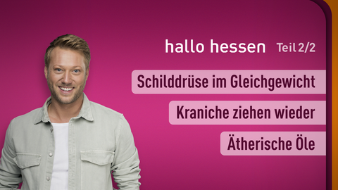 Moderator Jens Pflüger sowie die Themen bei "hallo hessen" am 15.11.2023: Kraniche ziehen wieder, Schilddrüse im Gleichgewicht, Ätherische Öle