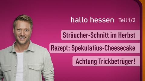  Moderator Jens Pflüger sowie die Themen bei "Hallo Hessen" vom 16.11.2023: Sträucher-Schnitt im Herbst,  Rezept: Spekulatius-Cheesecake, Achtung Trickbetrüger! 