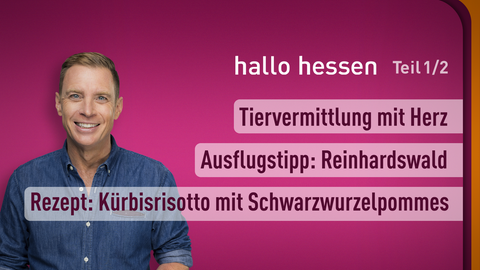 Moderator Jens Kölker sowie die Themen bei "hallo hessen" vom 20.11.2023: Tiervermittlung mit Herz, Ausflugstipp: Reinhardswald, Rezept: Kürbisrisotto mit Schwarzwurzelpommes.