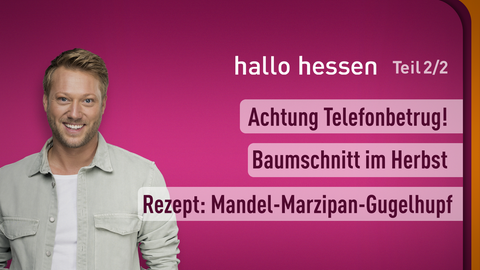 Moderator Jens Pflüger sowie die Themen bei "Hallo Hessen" vom 16.11.2023: Baumschnitt im Herbst,  Rezept: Mandel-Marzipan-Gugelhupf, Achtung Telefonbetrug! 