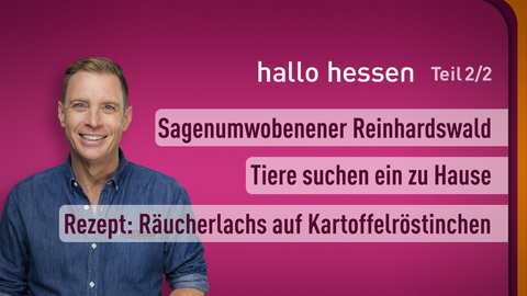 Moderator Jens Kölker sowie die Themen bei "hallo hessen" vom 20.11.2023: Sagenumwobener Reinhardswald, Rezept: Räucherlachs auf Kartoffelröstinchen, Tiere suchen ein zu Hause.