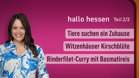 Moderatorin Leonie Koch sowie die Themen bei "hallo hessen" am 08.04.2024: Tiere suchen ein Zuhause, Witzenhäuser Kirschblüte, Rinderfilet-Curry mit Basmatireis