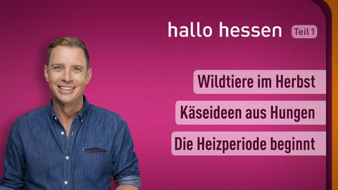 Jens Kölker mit den Themen von hallo hessen am 26.09.2023: Wiltiere, Käseideen, Heizperiode