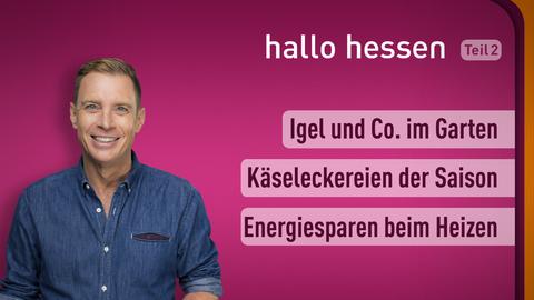 Jens Kölker mit den Themen von hallo hessen am 26.09.2023: Wiltiere, Käseideen, Heizperiode