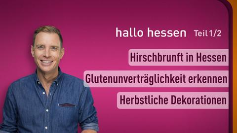 Hallo Hessen-Moderator Jens Kölker sowie die Themen vom 27.09.2023: Hirschbrunft in Hessen, Glutenunverträglichkeit erkennen, herbstliche Dekorationen