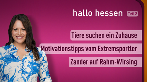 Moderatorin Leonie Koch sowie die Themen bei "hallo hessen" am 02.01.2023: Tiere suchen ein Zuhause,  Motivationstipps vom Extremsportler, Zander auf Rahm-Wirsing