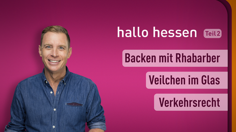 Moderator Jens Kölker sowie die Themen bei "hallo hessen" am 02.03.2023: Backen mit Rhabarber, Veilchen im Glas, Verkehrsrecht