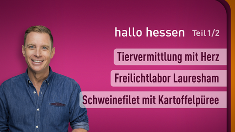 Moderator Jens Kölker sowie die Themen bei "hallo hessen" am 04.03.2024: Tiervermittlung mit Herz, Freilichtlabor Lauresham, Schweinefilet mit Kartoffelpüree