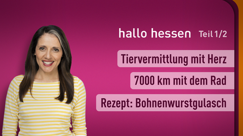 Moderatorin Selma Üsük sowie die Themen bei "hallo hessen" am 04.09.2023: Tiervermittlung mit Herz, 7000 km mit dem Rad, Rezept: Bohnenwurstgulasch