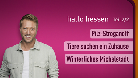 Moderator Jens Pflüger sowie die Themen am 04.12.2023: Pilz-Stroganoff, Tiere suchen ein Zuhause, Winterliches Michelstadt 