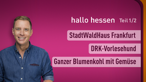 Moderator Jens Köler sowie die Themen bei "hallo hessen" am 05.04.2024: StadtWaldHaus Frankfurt, DRK-Vorlesehund, Ganzer Blumenkohl mit Gemüse 