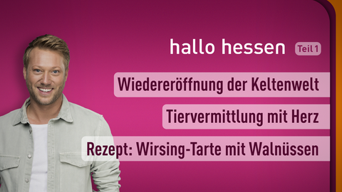 Moderator Jens Pflüger sowie die Themen bei "hallo hessen" am 06.03.2023: Wiedereröffnung der Keltenwelt, Tiervermittlung mit Herz, Rezept: Wirsing-Tarte mit Walnüssen 
