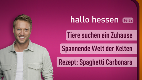Moderator Jens Pflüger sowie die Themen bei "hallo hessen" am 06.03.2023: Tiere suchen ein Zuhause, Spannende Welt der Kelten, Rezept: Spaghetti Carbonara