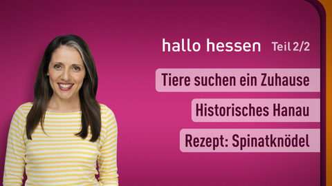 Moderatorin Selma Üsük sowie die Themen bei "hallo hessen" am 06.05.2024: Tiere suchen ein Zuhause, Historisches Hanau, Rezept: Spinatknödel