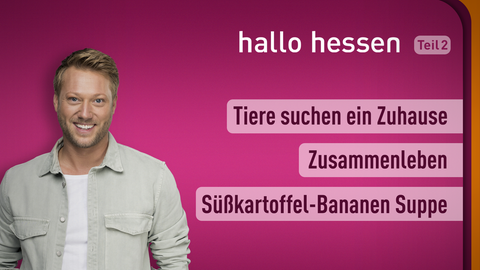 Moderator Jens Pflüger sowie die Themen am 07.11.2022: Tiere suchen ein Zuhause, Zusammenleben,Süßkartoffel-Bananen-Suppe