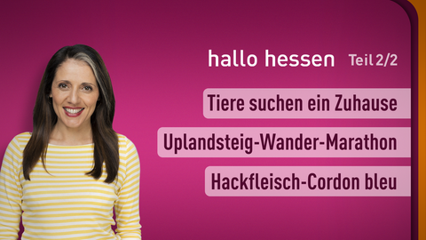 Moderatorin Selma Üsük sowie die Themen bei "hallo hessen" am 08.05.2023: Tiere suchen ein Zuhause,Uplandsteig-Wander-Marathon, Hackfleisch-Cordon bleu