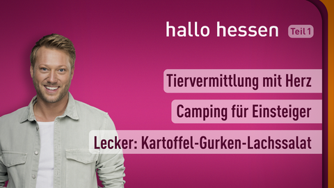 Moderator Jens Pflüger sowie die Themen am 08.08.2022 bei "hallo hessen": Tiervermittlung mit Herz, Camping für Einsteiger, Lecker: Kartoffel-Gurken-Lachssalat 