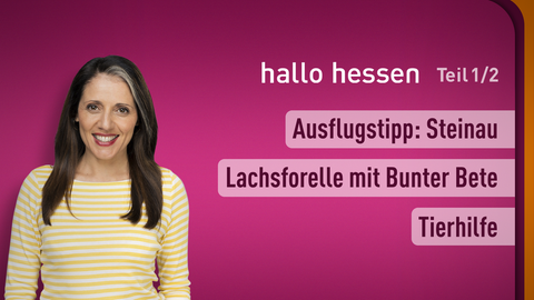 Moderatorin Selma Üsük sowie die Themen bei "hallo hessen" am 07.09.2023: Ausflugstipp: Steinau, Lachsforelle mit Bunter Bete, Tierhilfe 