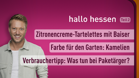 Moderator Jens Pflüger sowie die Themen bei "hallo hessen" am 09.03.2023: Zitronencreme-Tartelettes mit Baiser, Farbe für den Garten: Kamelien, Verbrauchertipp: Was tun bei Paketärger