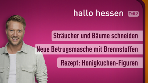 Moderator Jens Pflüger sowie die Themen bei "hallo hessen" am 10.11.2022: Schockanrufe erkennen, Rückschnitt der Kübelpflanzen, Rezept: Butterstollen-Konfekt 