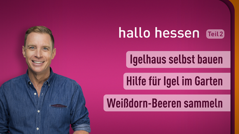 Moderator Jens Kölker sowie die Themen bei "hallo hessen" am 11.10.2022: Igelhaus selber bauen, Hilfe für die Igel im Garten, Weißtdorn-Beeren sammeln