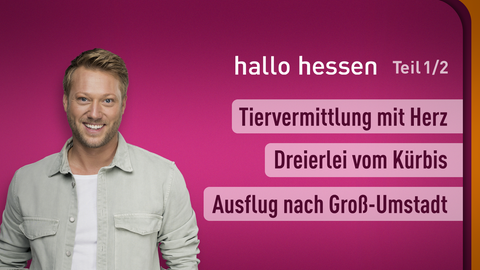 Moderator Jens Pflüger sowie die Themen bei "hallo hessen" am 11.09.2023: Tiervermittlung mit Herz, Dreierlei vom Kürbis, Ausflug nach Groß-Umstadt
