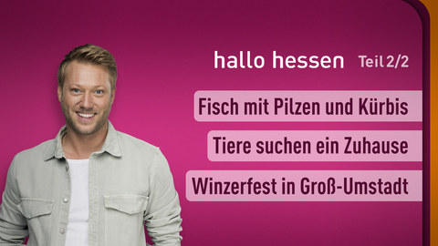 Moderator Jens Pflüger sowie die Themen bei "hallo hessen" am 11.09.2023: Fisch mit Pilzen und Kürbis, Tiere suchen ein Zuhause, Winzerfest in Groß-Umstadt