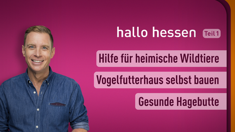 Moderator Jens Köker sowie die Themen bei "hallo hessen" am 12.10.2022: Hilfe für heimische Wildtiere, Vogelfutterhaus bauen, Gesunde Hagebutte 