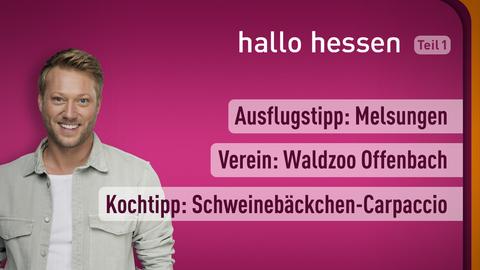 Moderator Jens Pflüger sowie die Themen bei "hallo hessen am 12.08.2022: Ausflugstipp: Melsungen, Verein: Waldzoo Offenbach, Kochtipp: Schweinebäckchen-Carpaccio 