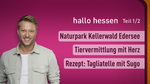 Moderator Jens Pflüger sowie die Themen bei "hallo hessen" am 13.11.2023: Naturpark Kellerwald Edersee, Tiervermittlung mit Herz, Rezept: Tagliatelle mit Sugo