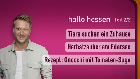 Moderator Jens Pflüger sowie die Themen bei "hallo hessen" am 13.11.2023: Tiere suchen ein Zuhause, Herbstzauber am Edersee, Rezept: Gnocchi mit Tomaten-Sugo