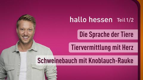 Moderator Jens Kölker sowie die Themen bei "hallo hessen" am 15.05.2023: Die Sprache der Tiere, Tiervermittlung mit Herz, Schweinebauch mit Knoblauch-Rauke