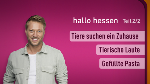 Moderator Jens Kölker sowie die Themen bei "hallo hessen" am 15.05.2023: Tiere suchen ein Zuhause, Tierische Laute, Gefüllte Pasta 