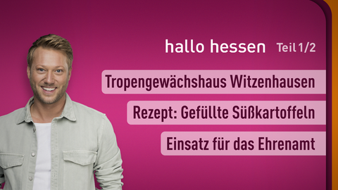 Moderator Jens Pflüger sowie die Themen bei "hallo hessen" am 17.11.2023: Tropengewächshaus Witzenhausen, Rezept: Gefüllte Süßkartoffeln, Einsatz für das Ehrenamt 