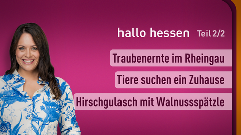 Moderatorin Leonie Koch sowie die Themen bei "hallo hessen" 18.09.2023: Traubenernte im Rheingau, Tiere suchen ein Zuhause, Hirschgulasch mit Walnussspätzle 