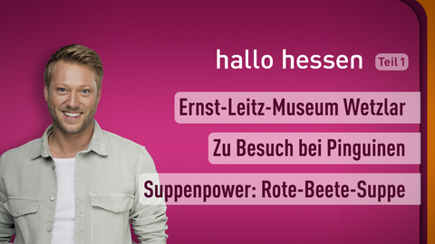 Moderator Jens Pflüger sowie die Themen bei "hallo hessen" am 20.01.2023: Ernst-Leitz-Museum Wetzlar, Zu Besuch bei den Pinguinen, Suppenpower: Rote-Beete-Suppe 
