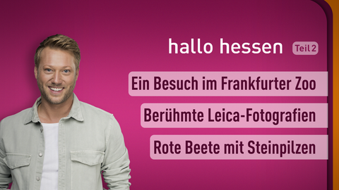 Moderator Jens Pflüger sowie die Themen bei "hallo hessen" am 20.01.2023: Ein Besuch im Frankfurter Zoo, Berühmte Leica-Fotografien, Rote Beete mit Steinpilzen 
