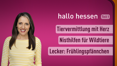 Moderatorin Selma Üsük sowie die Themen bei "hallo hessen" am 20.03.2023: Tiervermittlung mit Herz, Nisthilfen für Wildtiere, Lecker: Frühlingspfännchen