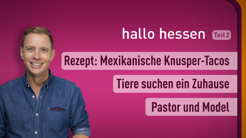 Moderator Jens Kölker sowie die Themen bei "hallo hessen" am 21.11.2022: Rezept: Mexikanische Knusper-Tacos, Tiere suchen ein Zuhause, Pastor und Model 