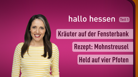 Moderatorin Selma Üsük sowie die Themen bei "hallo hessen" am 23.02.2023: Flaschengarten, Rezept: Mohnstreusel, Held auf vier Pfoten