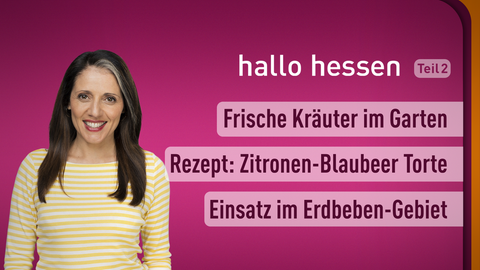 Moderatorin Selma Üsük sowie die Themen bei "hallo hessen" am 23.02.2023: Rezept: Zitronen-Blaubeer Torte, Veilchen im Glas, Einastz im Erdbeben-Gebiet 
