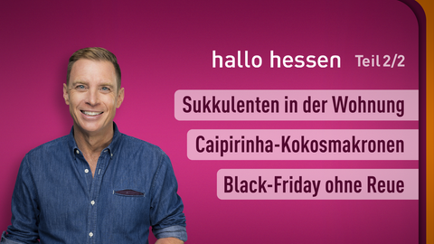 Moderator Jens Kölker sowie die Themen bei "Hallo Hessen" am 23.11.2023: Sukkulenten in der Wohnung, Caipirinha-Kokosmakronen, Black-Friday ohne Reue