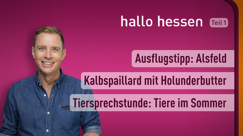 Moderator Jens Kölker sowie die Themen bei "hallo hessen" am 24.06.2022: Estragon-Omlette mit Hühnchen, 800 Jahre Alsfeld, Tiersprechstunde: Reisen mit Tieren 