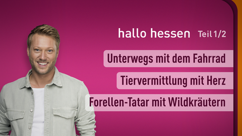 Moderator Jens Pflüger sowie die Themen bei "hallo hessen" am 25.03.2024: Unterwegs mit dem Fahrrad, Tiervermittlung mit Herz, Forellen-Tatar mit Wildkräutern