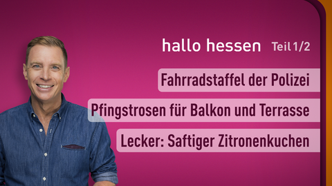 Moderator Jens Kölker sowie die Themen bei"hallo hessen" am 25.05.2023: Fahrradstaffel der Polizei, Pfingstrosen für Balkon und Terrasse, Lecker: Saftiger Zitronenkuchen